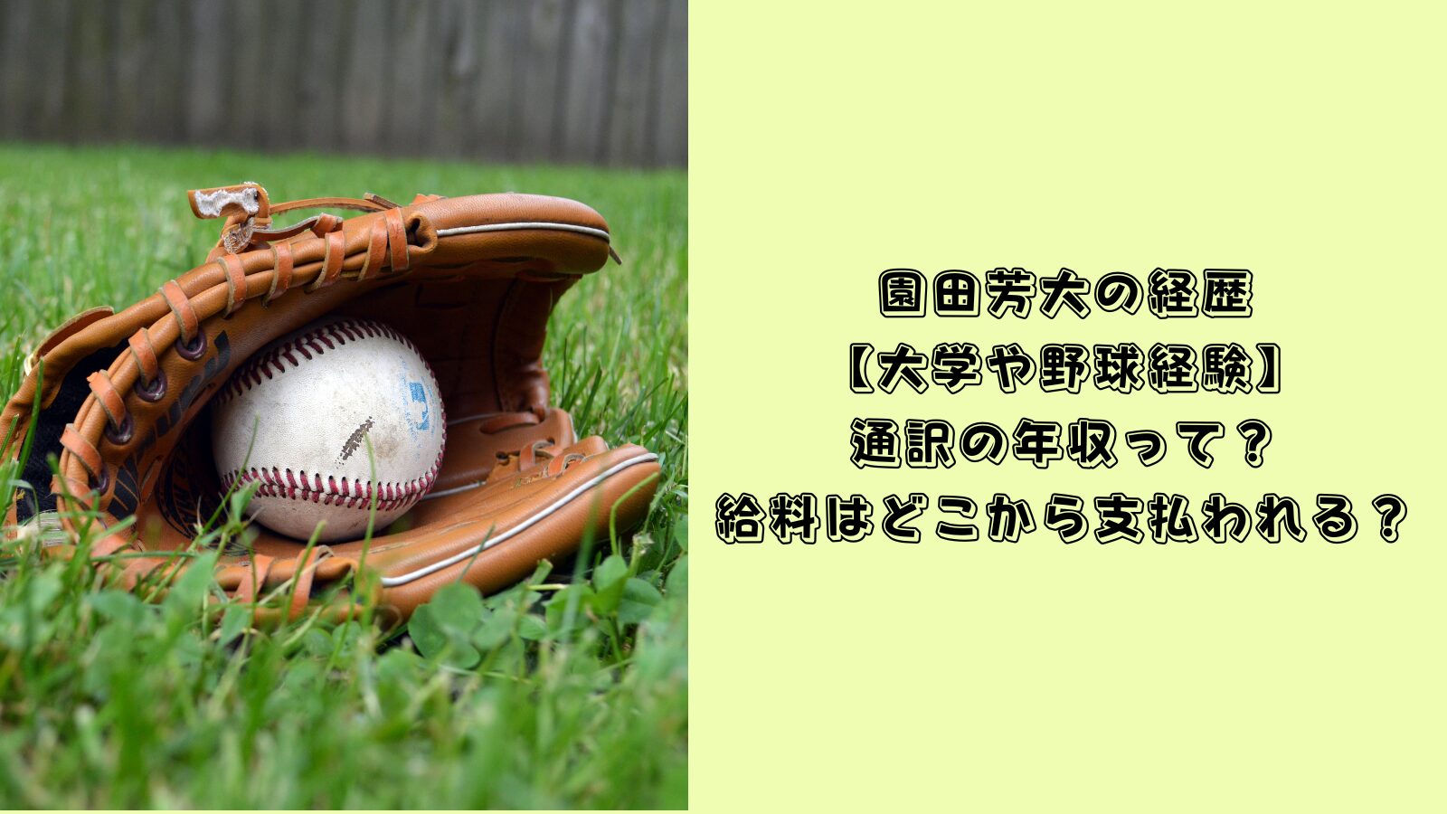園田芳大　経歴